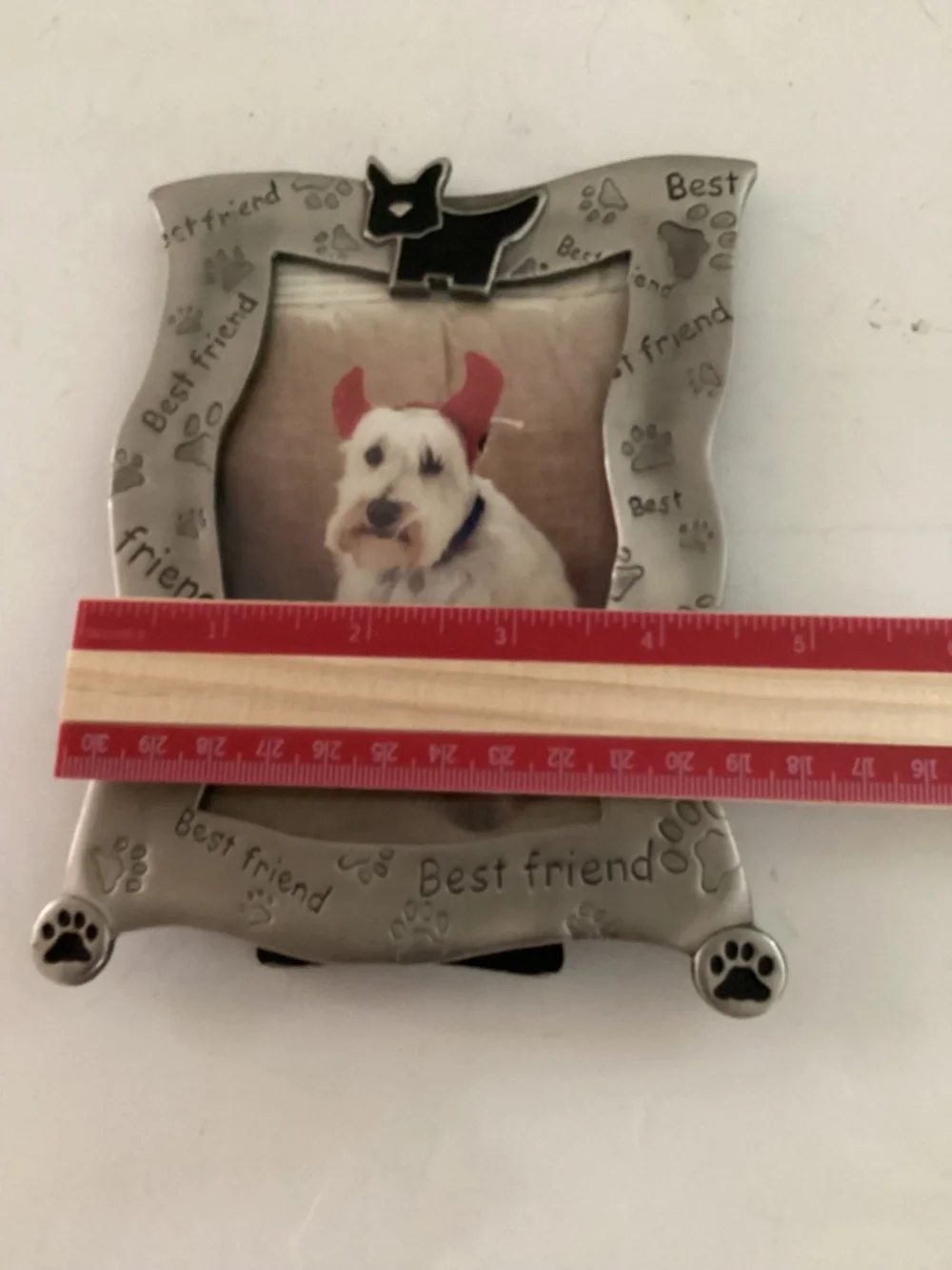 Pewter look Metal “Best Friend” Pet Photo Frame w/ terrier trim and 3Dpaw prints